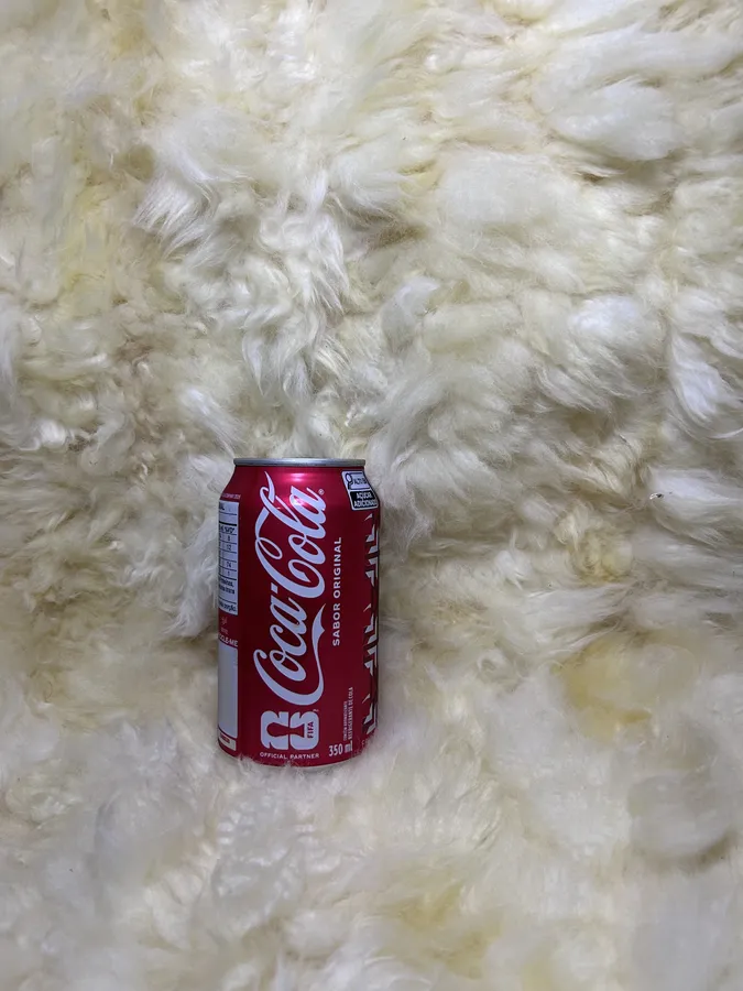 Coca Normal Lata